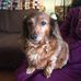 Edith Skinner - Facebook