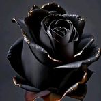 Edith Sobal - Facebook