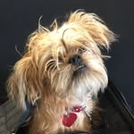 Edith Sobel - @thedailyedie - Instagram