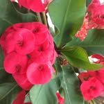 Edith Solomon - @edith.solomon.5815 - Instagram