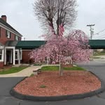 Edith Childress Sparks - @sparksedith - Instagram