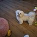 Edith Staples Johnston - Facebook
