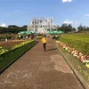 Edith Stein - @edith.stein - TikTok