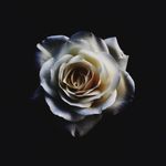 Edith Sweeney - @edithsweeney36 - Instagram