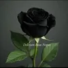 Edith Tirado - @edith.tirado8 - TikTok