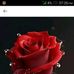 Edith Vallejo - Facebook