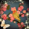 Edith Villegas - @edithvillegas481 - TikTok