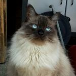 Edith de Vos-Regtop - @freddenidevos - Instagram