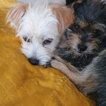 Edith Vos - @edith.vos2 - Instagram
