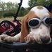 Edith Wall - Facebook