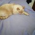 Edith Watts - Facebook