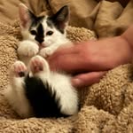 Edith Way-Winch - @edithwaywinch - Instagram