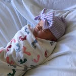 Edie - @edithwildercoe - Instagram