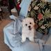 Edith Wilkins - Facebook