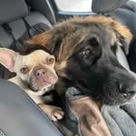 Edith Willey - @ediewil - Instagram