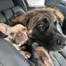 Edith Willey - Facebook