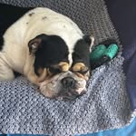Elizabeth Keeler - @edithwinstonsmxgans - Instagram