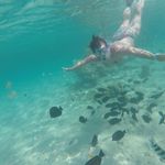 Edith Winter - @edithwinter2133 - Instagram