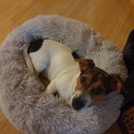 Edith Wyss - @edith.wyss56 - Instagram