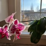Edith Nelson Yarbrough - @edithnelsonyarbrough - Instagram