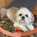 Edith Yates - Facebook