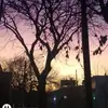 Edith Zapata - @edith.zapata64 - TikTok