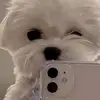 edithzelayandia55 - @edithzelayandia55 - TikTok