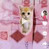 edithajacksonkingamalole@gmail - @user9343687946703 - TikTok