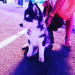Editha Pedroso - @edithapedroso - Instagram