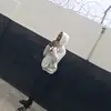 Edmond black - @benos776 - TikTok