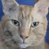 edmondcarter133 - @edmondcarter133 - TikTok