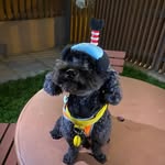 Edmond Cho - @edmondcho - Instagram