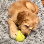 Edmond Halley - @edmond_halley_ - Instagram