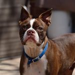 fredmond - @fredmondhamiltonthe3rd - Instagram