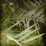 edmond. parker - @edmond.parker833 - Instagram