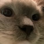 Edmond Wu - @edmondedmondjai - Instagram