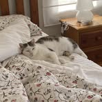 Edmond Wu - Facebook