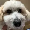 Ed Becker - @edbecker4 - TikTok