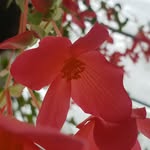 Edmund Becker - @beckereak1 - Instagram