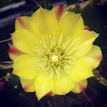 Edmund Becker - @bambasticdx - Instagram