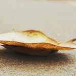 Edmund Chen - @chen.edmund - Instagram