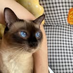 Edmund Chu - @wingchung314 - Instagram