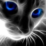 edmund deerit - @edmund.deerit - Instagram