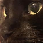 Edmund Dickson - @edmund_sbs - Instagram