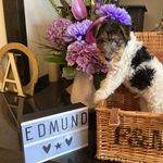 Edmund WFT - @everywhere_with_edmund - Instagram