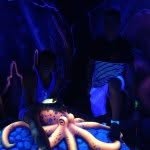 Chaz Poncia - @edmundthepigfish - Instagram
