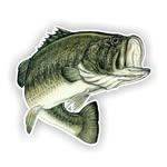 Edmunds N Jones Fishin - @edmunds_jones_fishing - Instagram