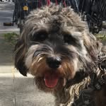Edmund van Handgranaat - @edmund.van.handgranaat - Instagram