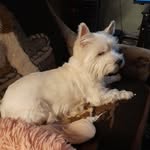 Edmund Meyer - @eddimeyer1 - Instagram