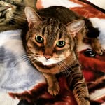 Edmund Meyer - @edmund.m15 - Instagram